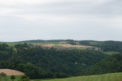 DSC08199