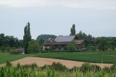 DSC08211