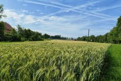 DJI_20260617095617_0062_D