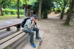 DJI_20260617102446_0091_D