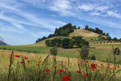DJI_20260617105455_0145_D
