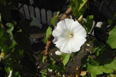 DSCN2775