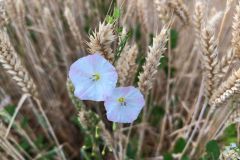 IMG_20260701_111008_064