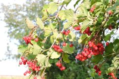 DSCN0045