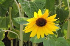 DSCN0058