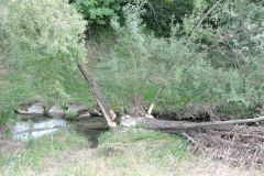 DSCN0154