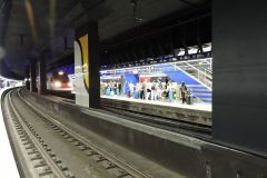 DSCN0246
