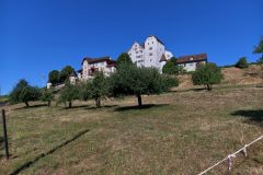IMG_20260722_100345_037