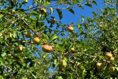 IMG_20260722_100416_038