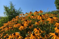 IMG_20260722_100729_045