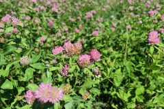LIV_20260722_120627_196