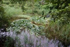DSC08450