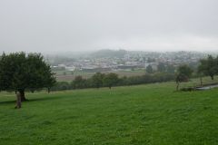 DSC08481
