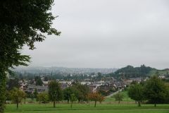DSC08516
