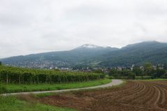 DSC08564