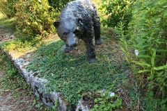 LIV_20260805_094444_064