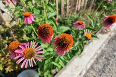 LIV_20260805_095846_088