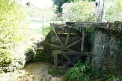DSC08653
