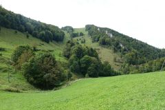 DSC08687