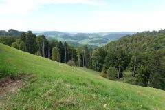 DSC08706