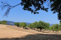 IMG_20260812_095503_033