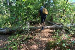 IMG_20260812_100009_040
