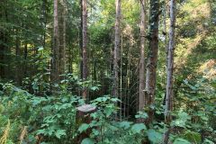 IMG_20260812_101456_061