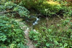 IMG_20260812_102153_073