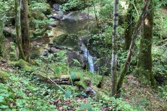 IMG_20260812_103243_089