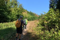 IMG_20260812_104445_100
