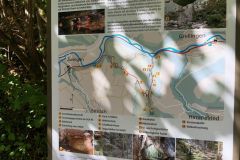 IMG_20260812_104638_102