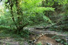 IMG_20260812_105633_113
