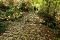 IMG_20260812_110415_121