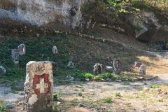IMG_20260812_111628_145