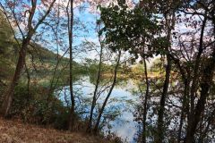 IMG_20260826_085928_009