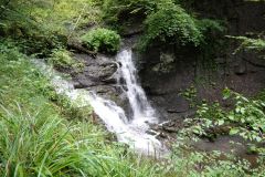 DSC08957