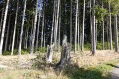 DSC00986