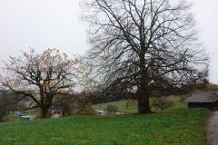 DSC01668