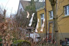 DSC02046