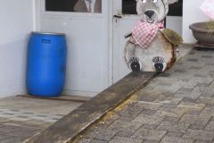 DSCN0082