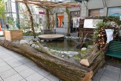 DSC03090