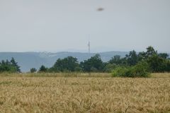 DSC04321