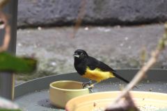 DSCN0658