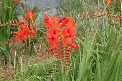 DSCN0666