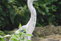 DSCN0703