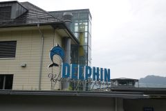DSC04754