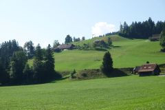 DSC05161