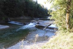 DSCN0823