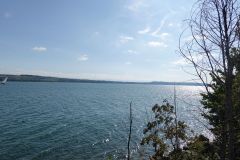 DSC05490