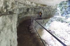 DSCN0915
